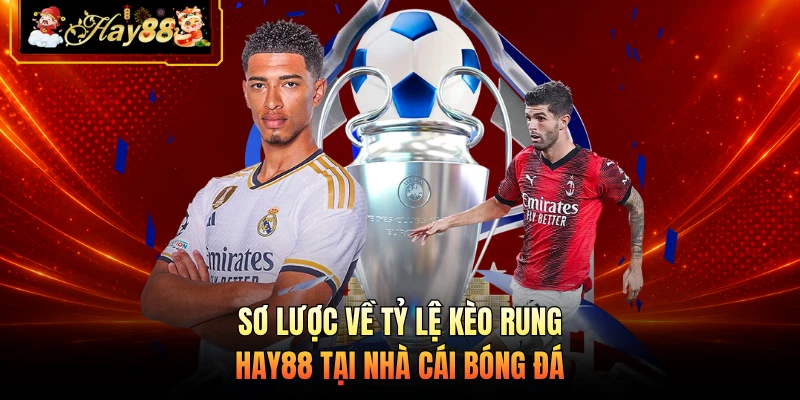 Nhà cái Hay88 Sơ lược về tỷ lệ kèo rung HAY88 tại nhà cái bóng đá